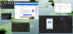 Develop Apps and Explore the World Wide Web