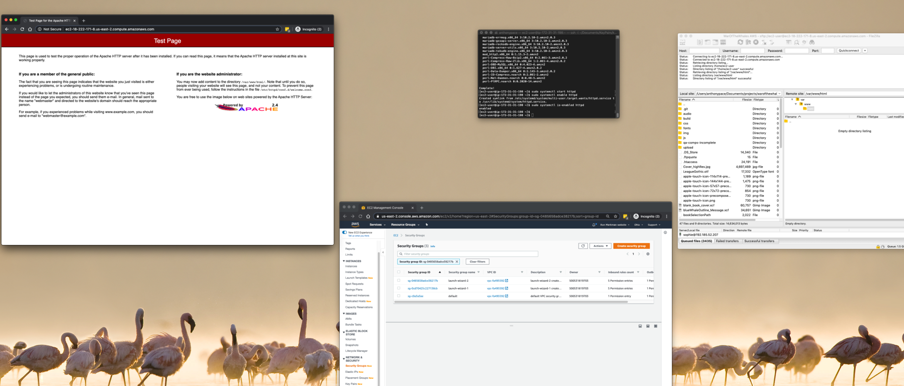 aws ec2