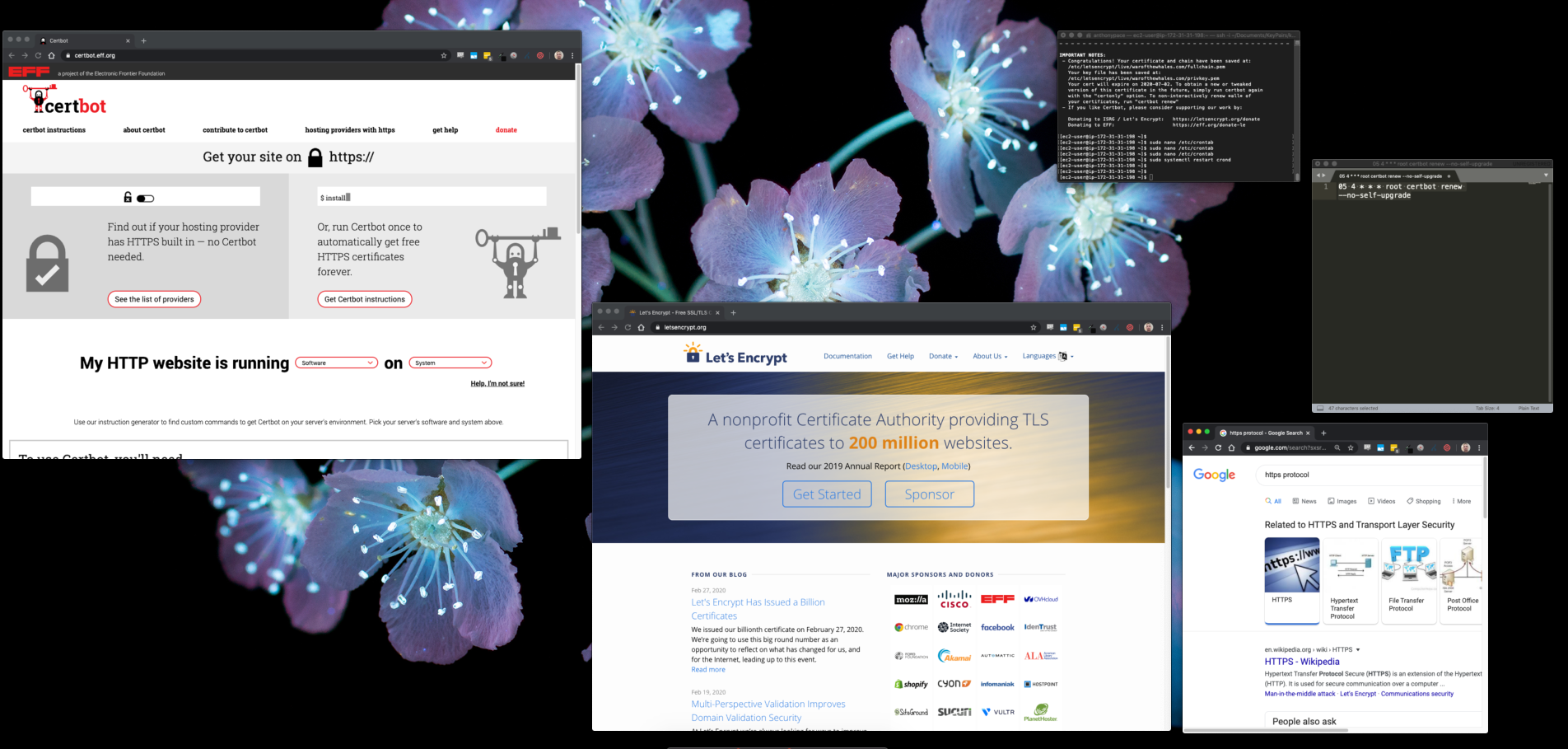 SSL, certbot, https