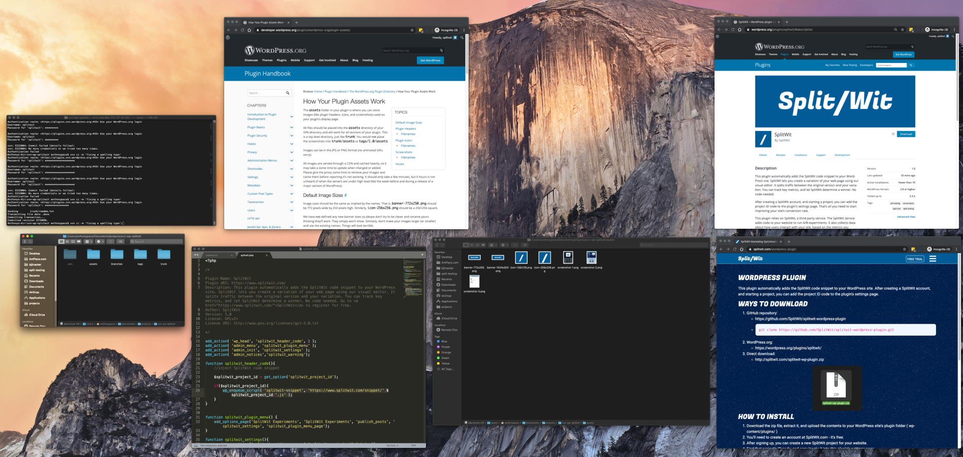 wordpress plugin