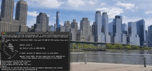 The Great Resignation