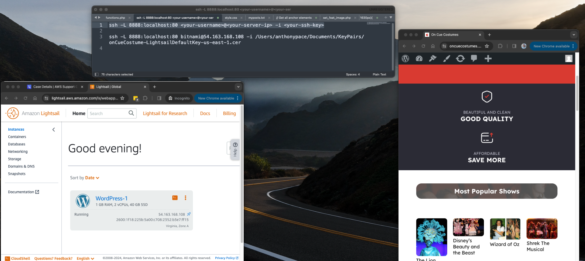 WordPress