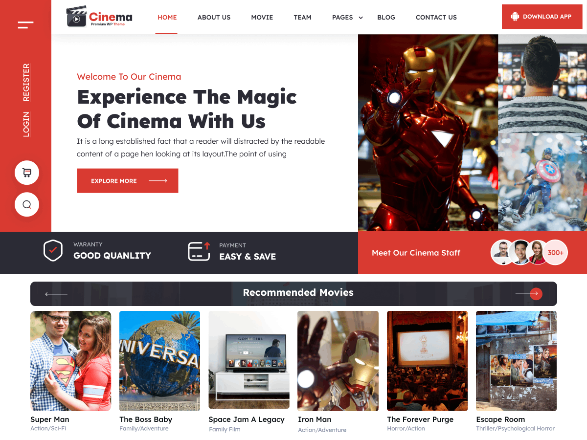 premium wordpress theme