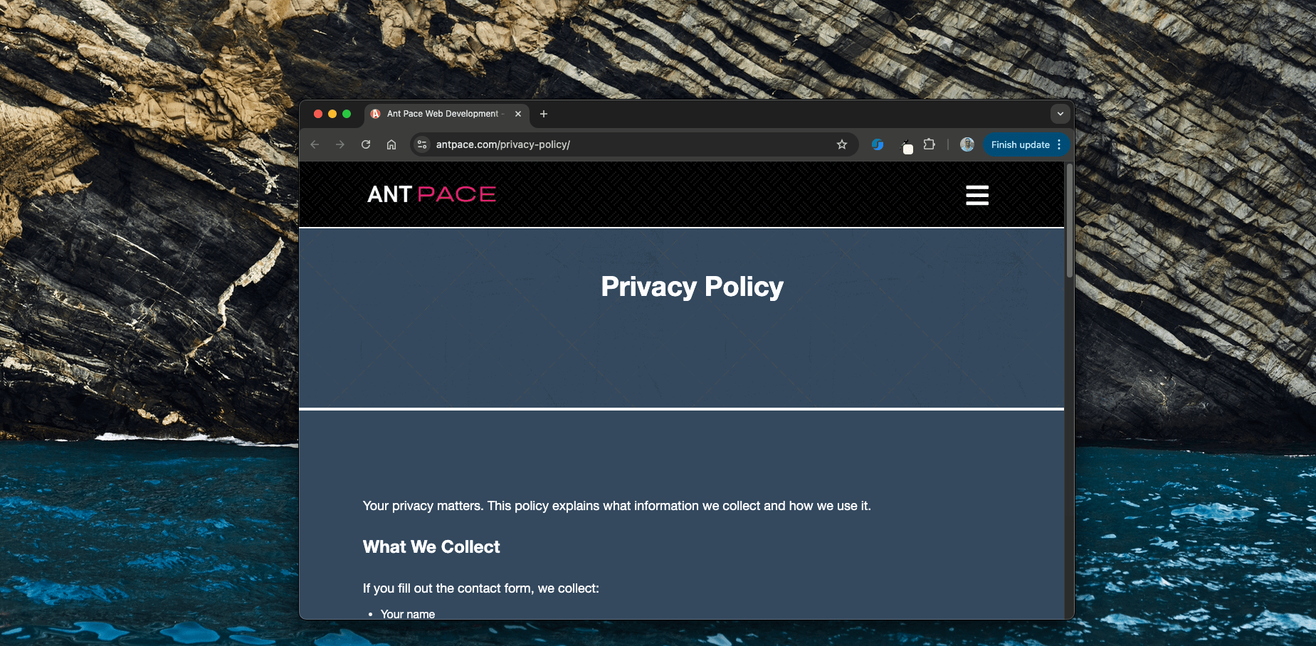 privacy policy