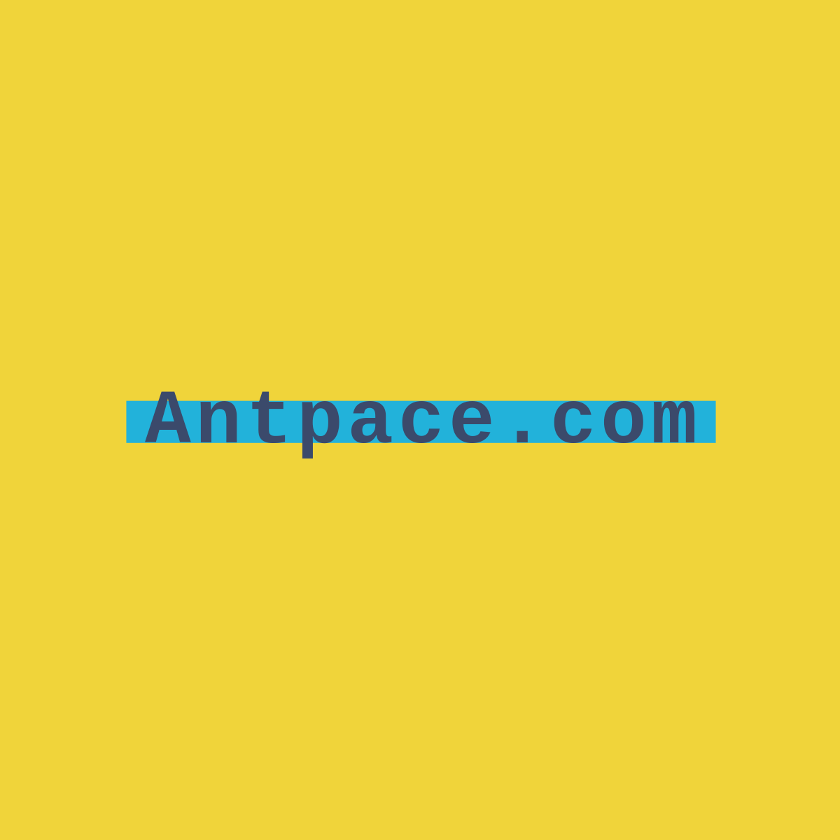 antpace.com