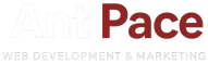 Ant Pace Web Development & Marketing